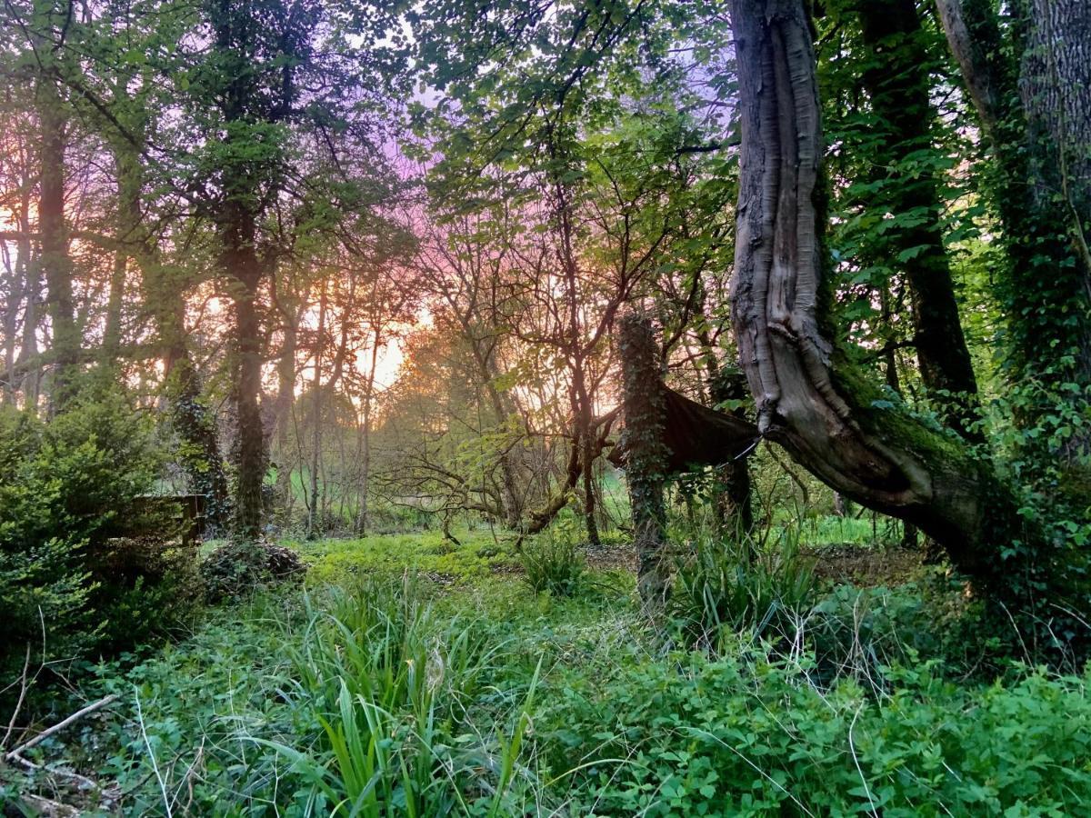 Lacken Millhouse And Gardens Cavan Exterior foto